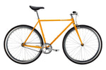 Golf-Fixed Gear Bicycle-shopifylearningstore