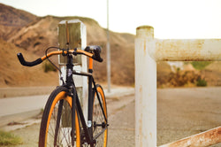 India-Fixed Gear Bicycle-shopifylearningstore